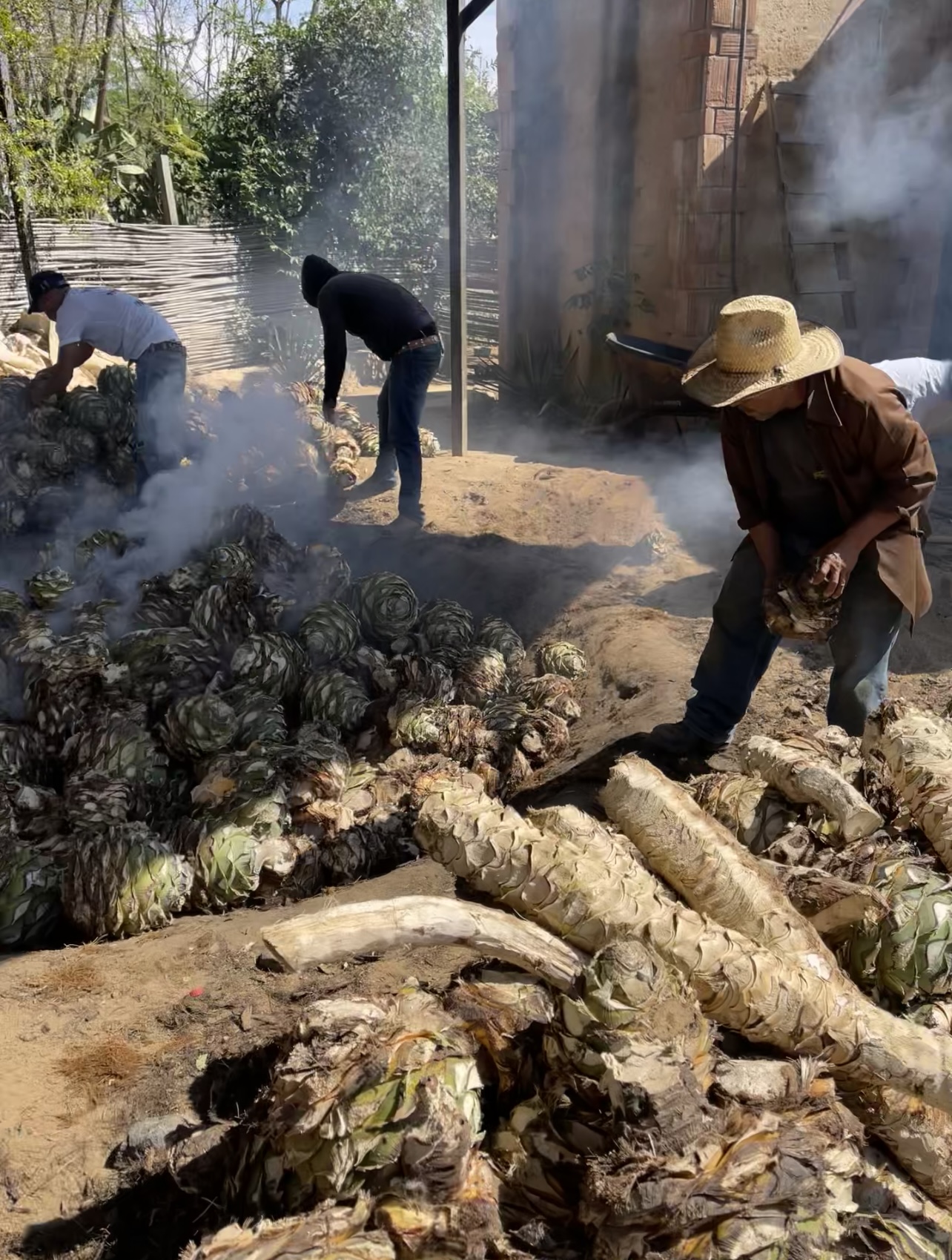 Nuestro Palenque, Santa Catarina Minas, Oaxaca