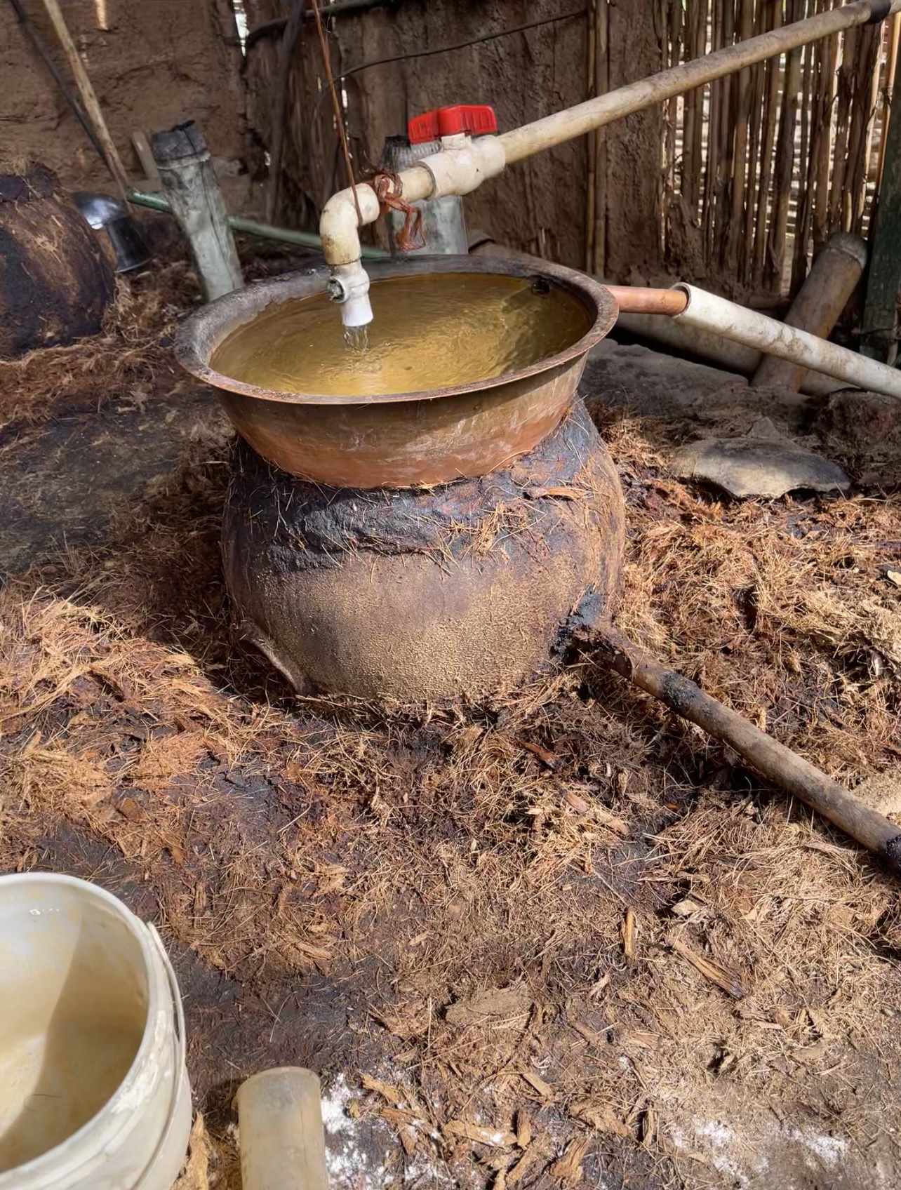 Nuestro Palenque, Santa Catarina Minas, Oaxaca
